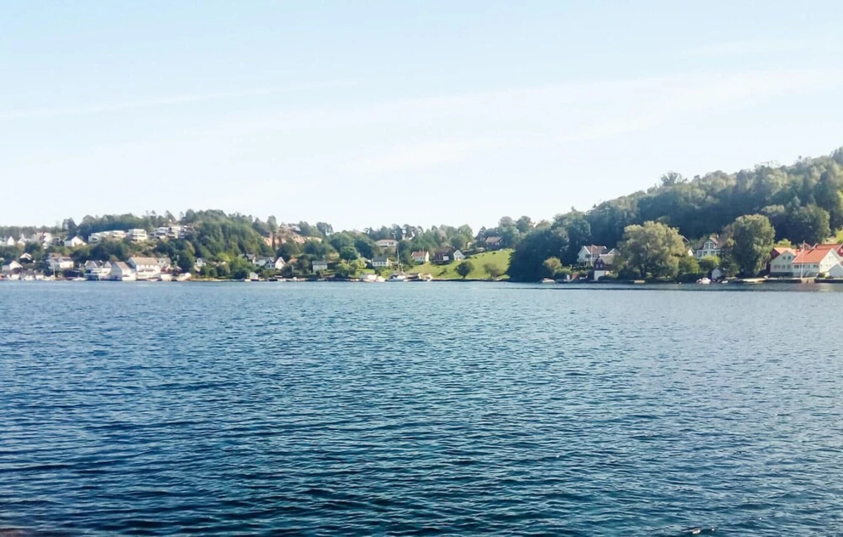 The Woodpecker Cottage Tree