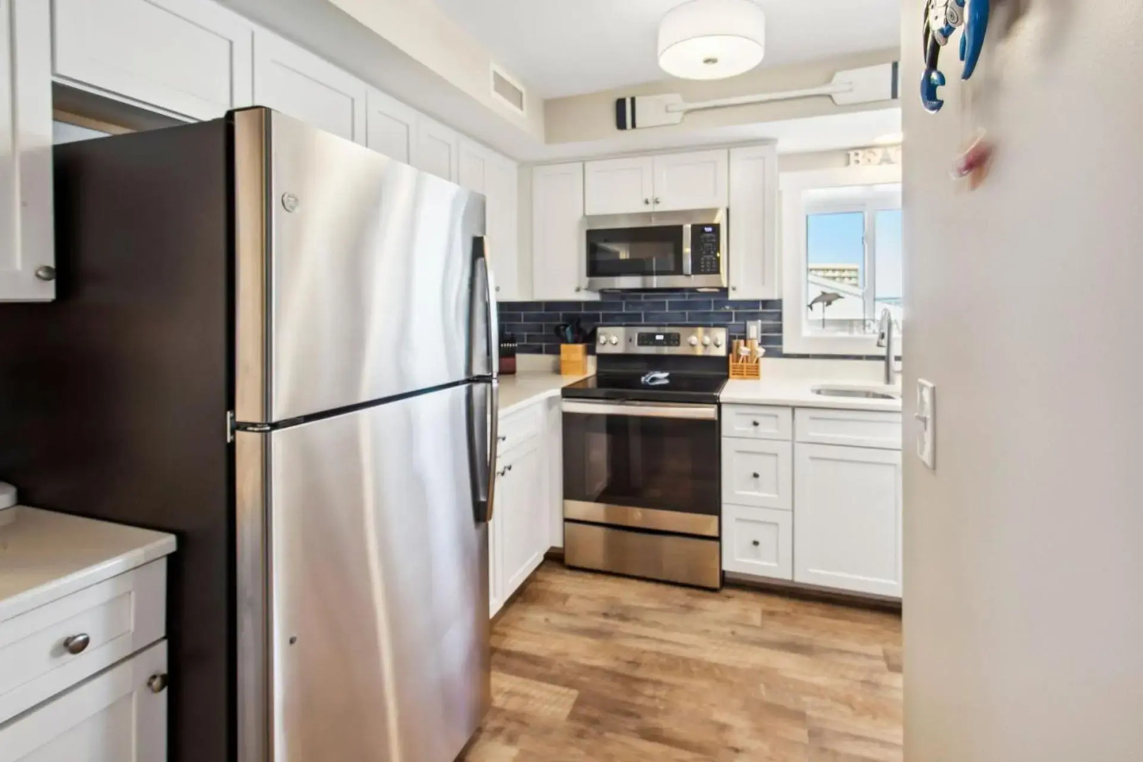 YC301 - Life's Porpoise