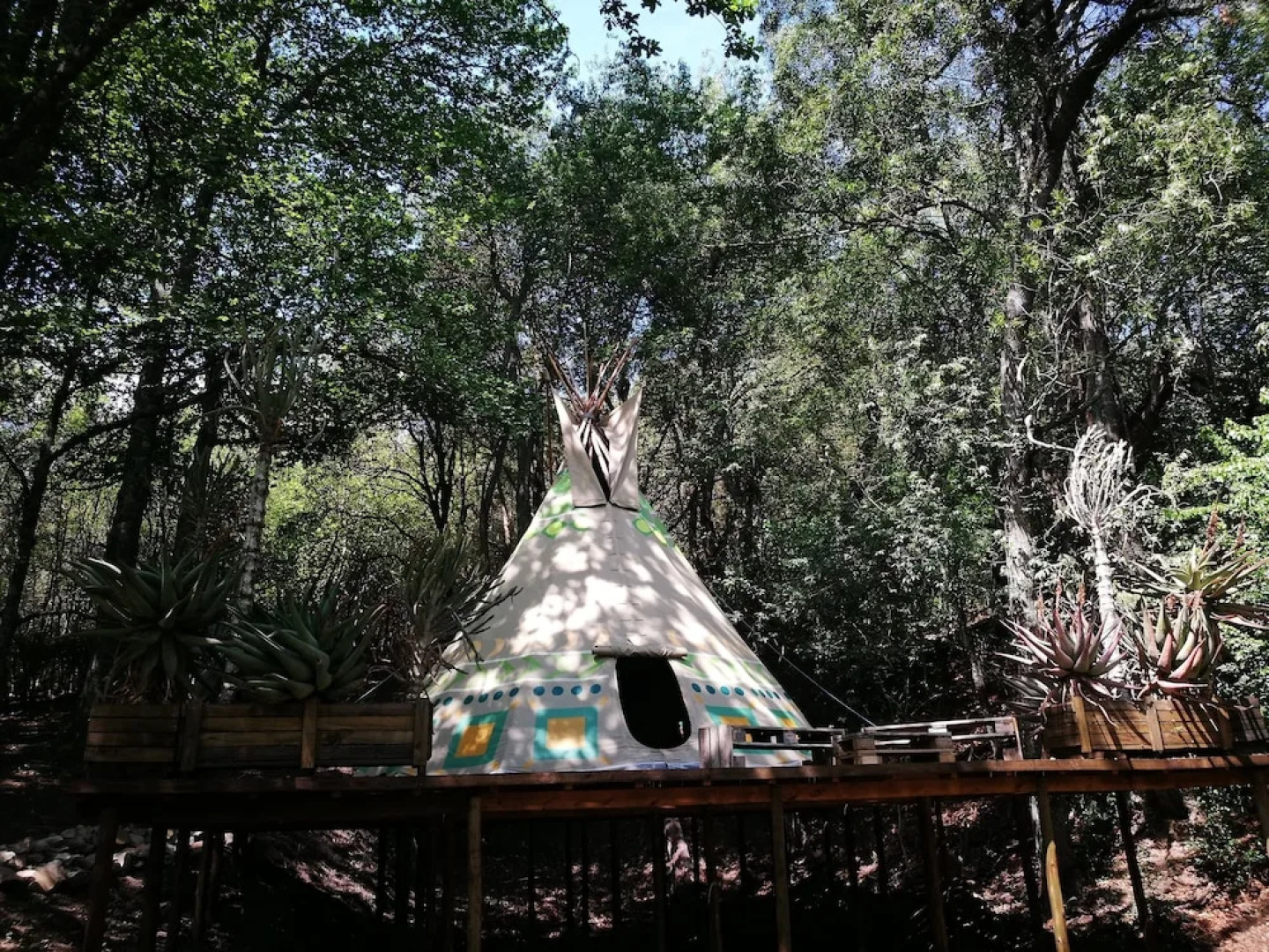 Magical Teepee Experience Hogsback - Glamping