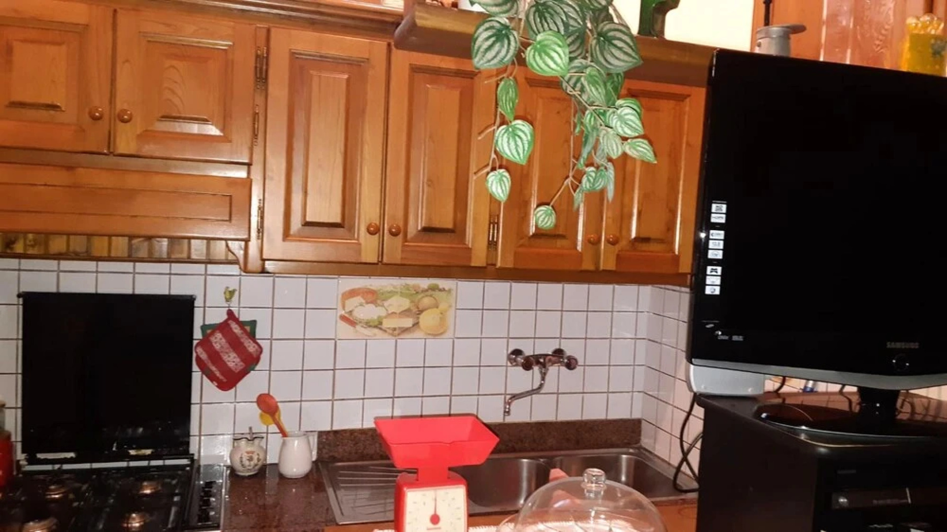 Apartment Lido di Camaiore