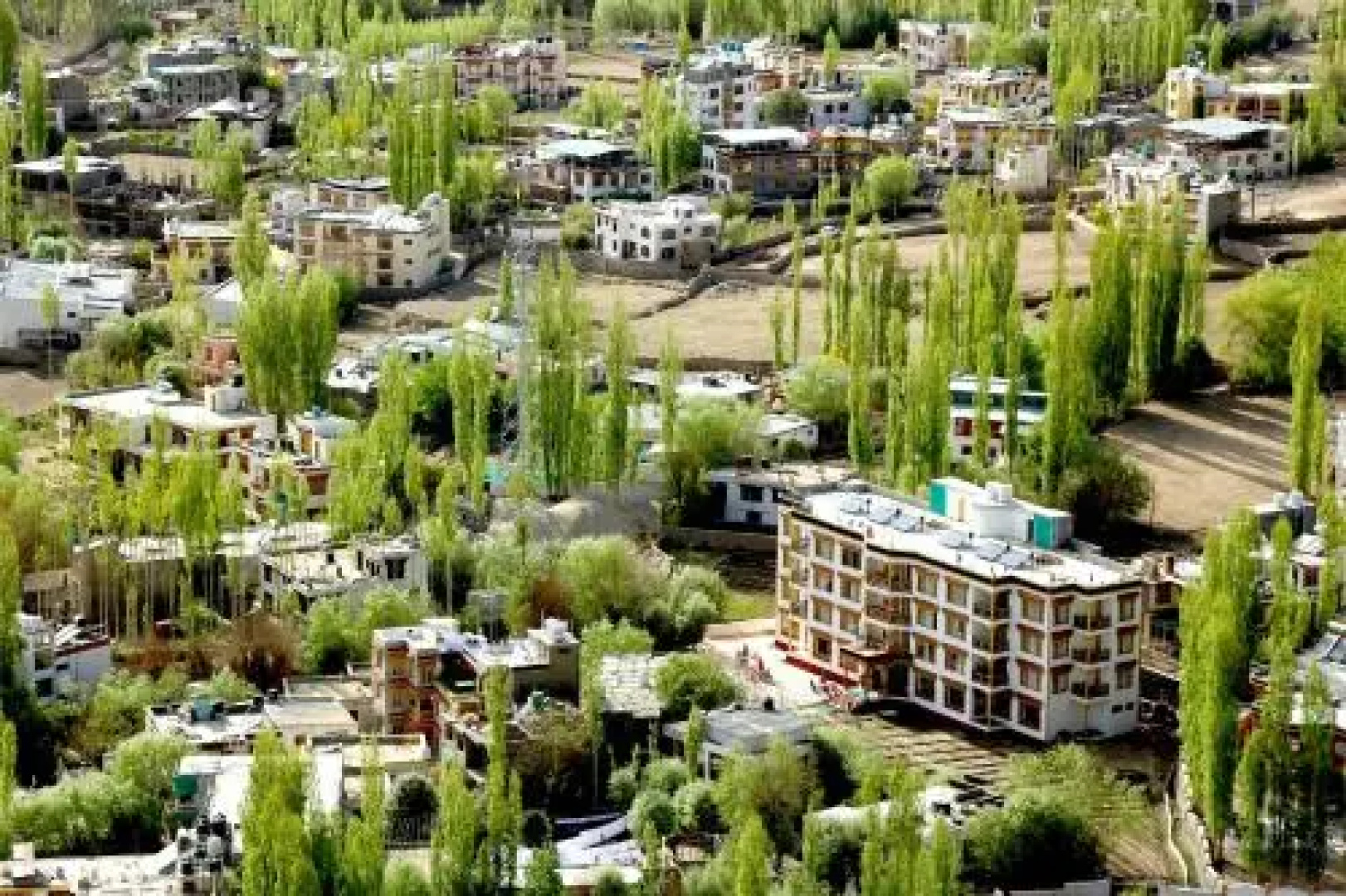 Hotel Chube