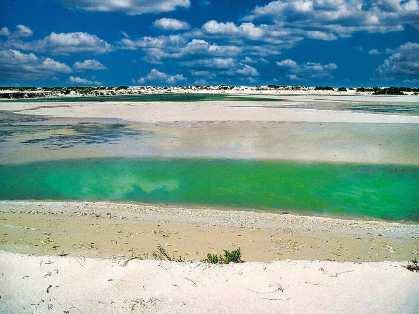 Beachfront Palapa In El Cuyo, Best Views