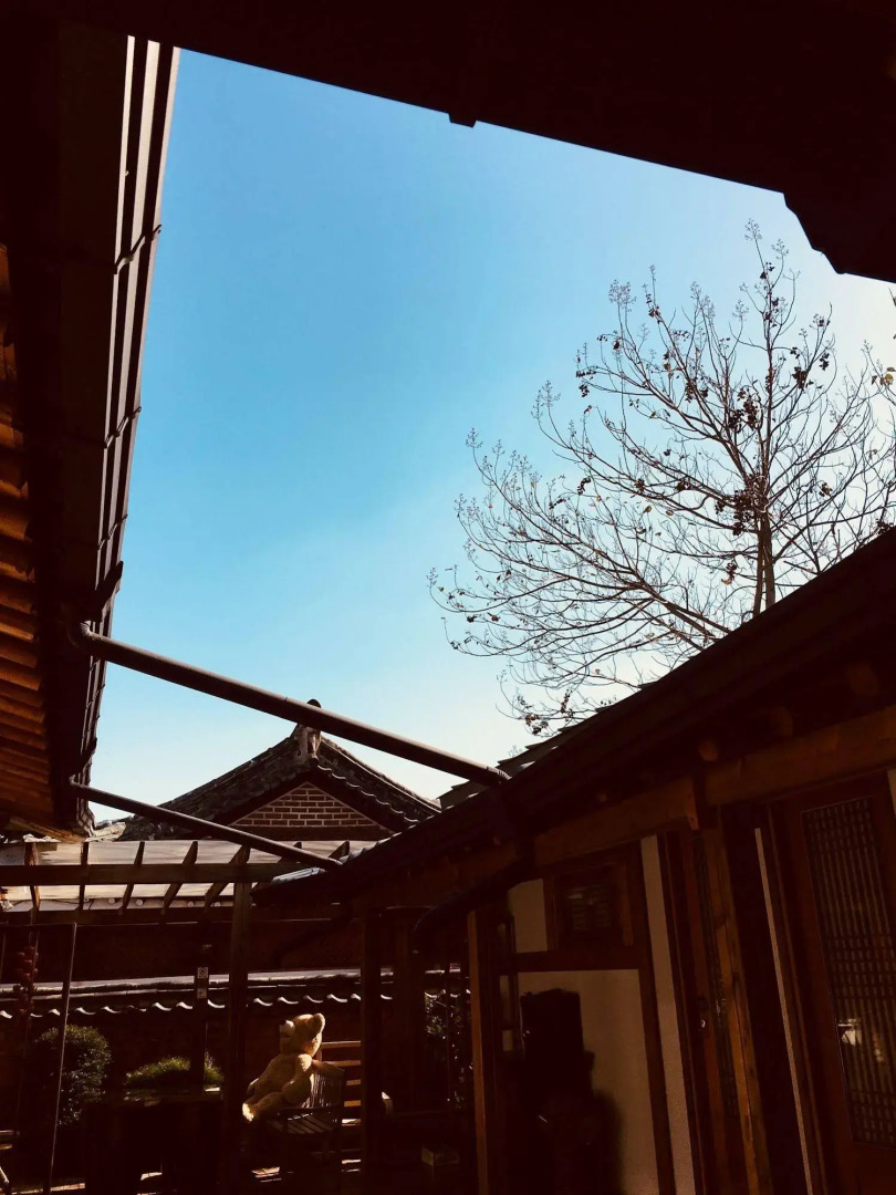 TREGA Museum Guesthouse