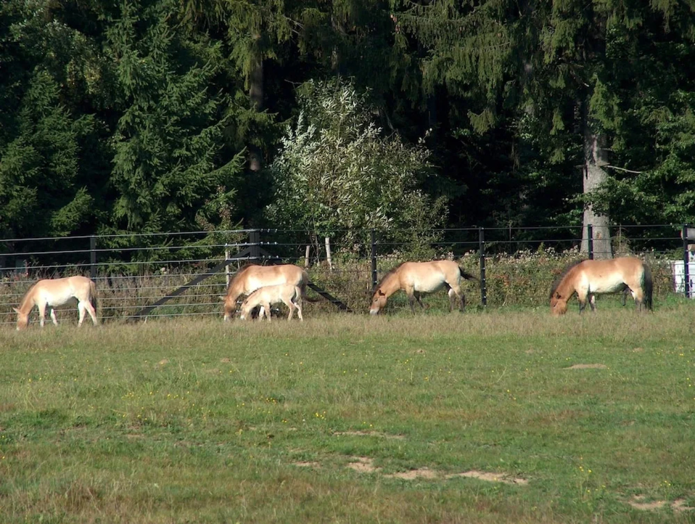 Wildnisresidenz am Nationalpark