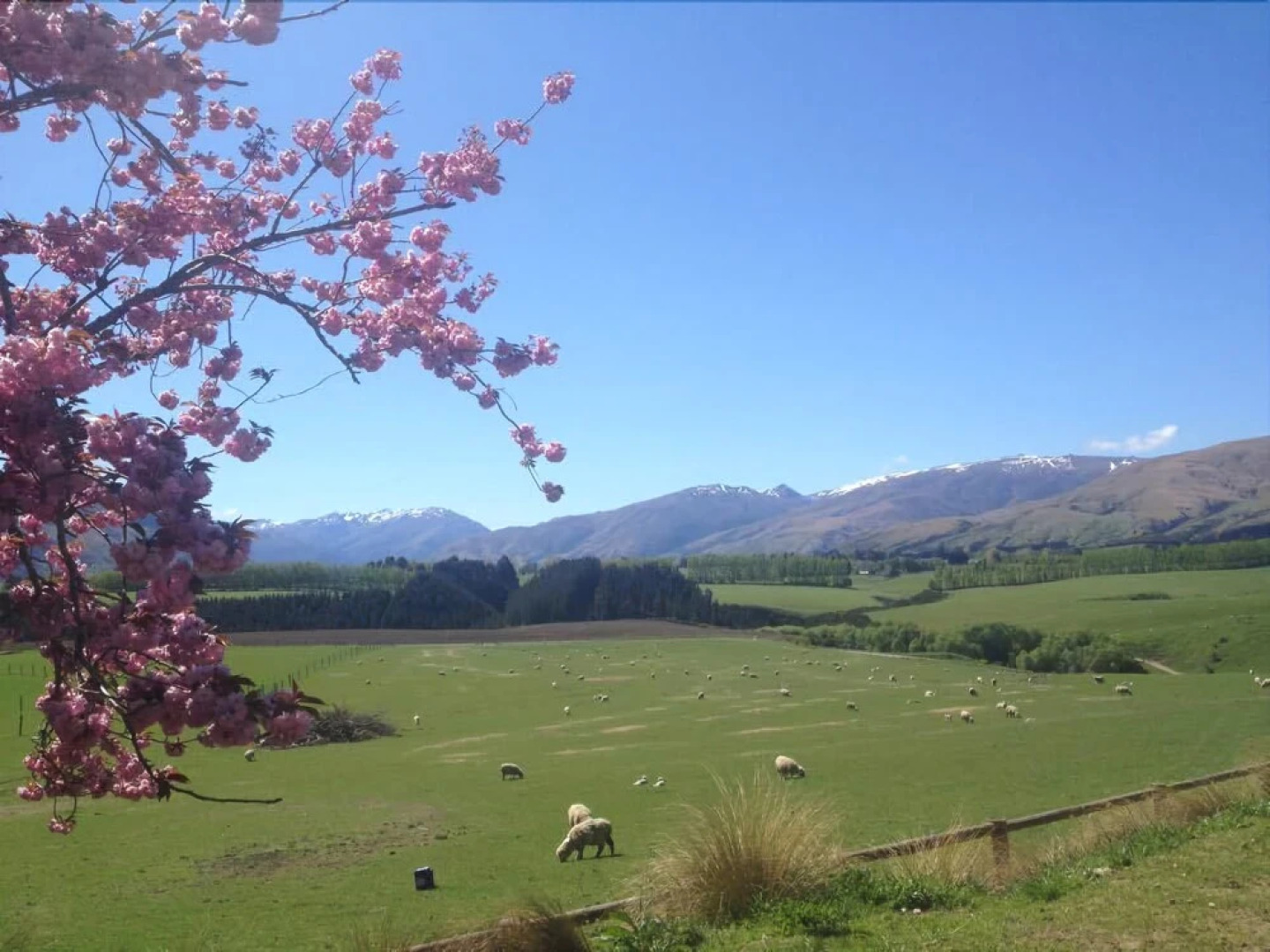 Southern Venues Farmstay B&B