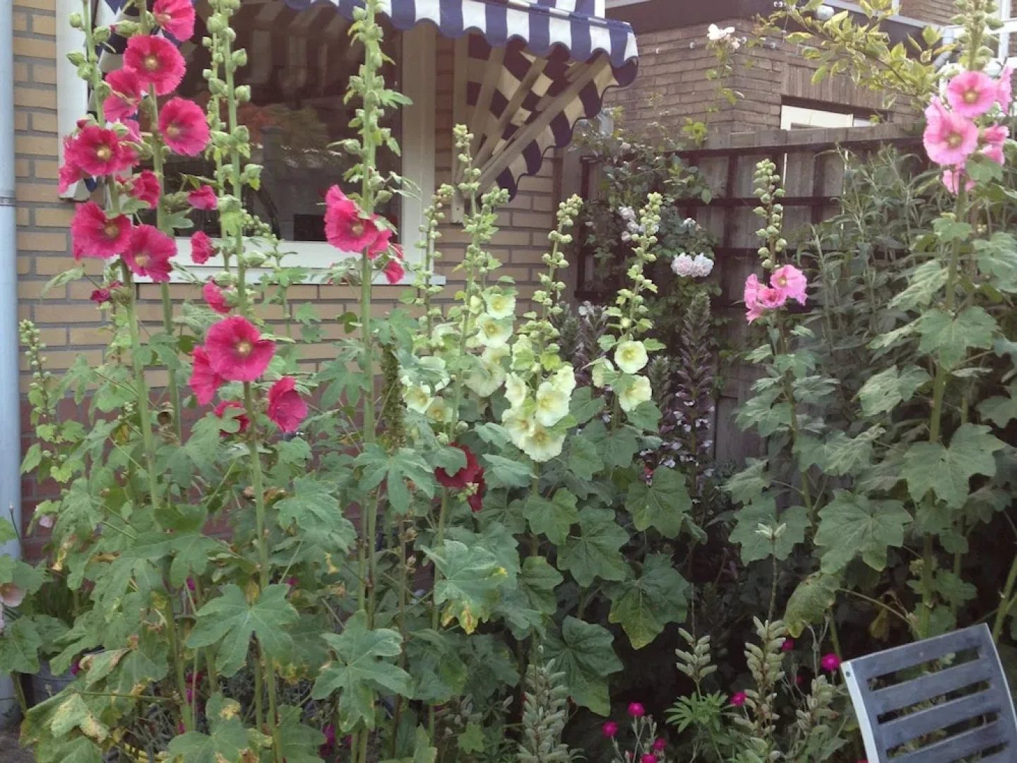 Deluxe Holiday Home in Castricum With Swimming Pool