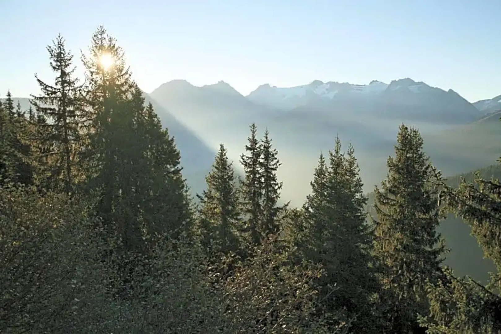 Hotel Catrina Resort