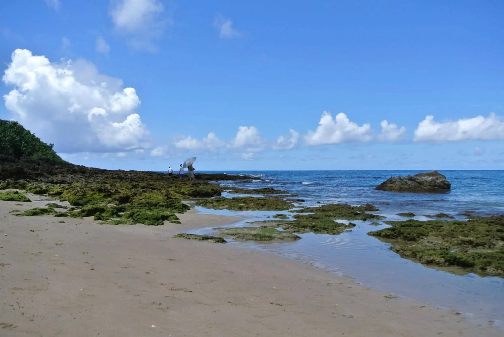 Howard Kenting Wonder House