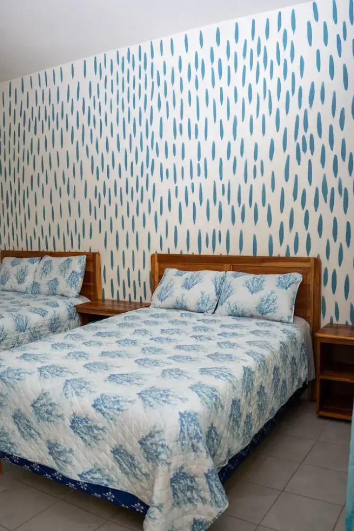 Palmazul - Viña del Mar