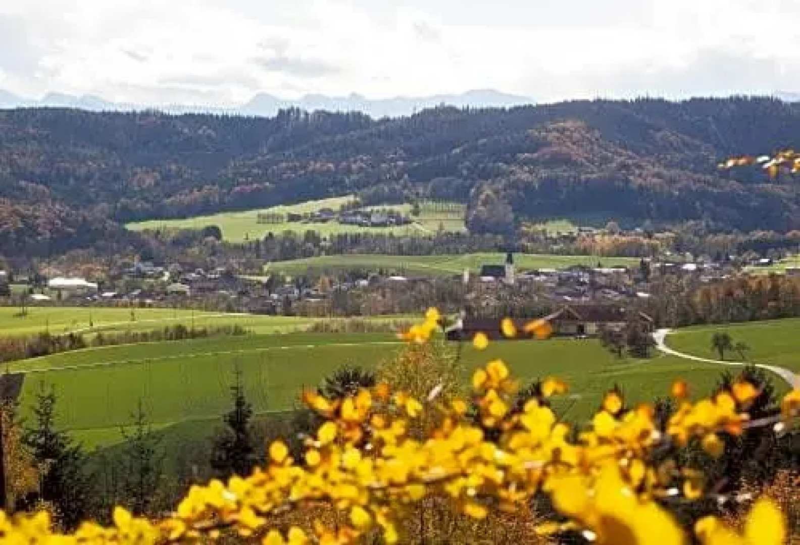 Gasthof Reiterhof Pichler
