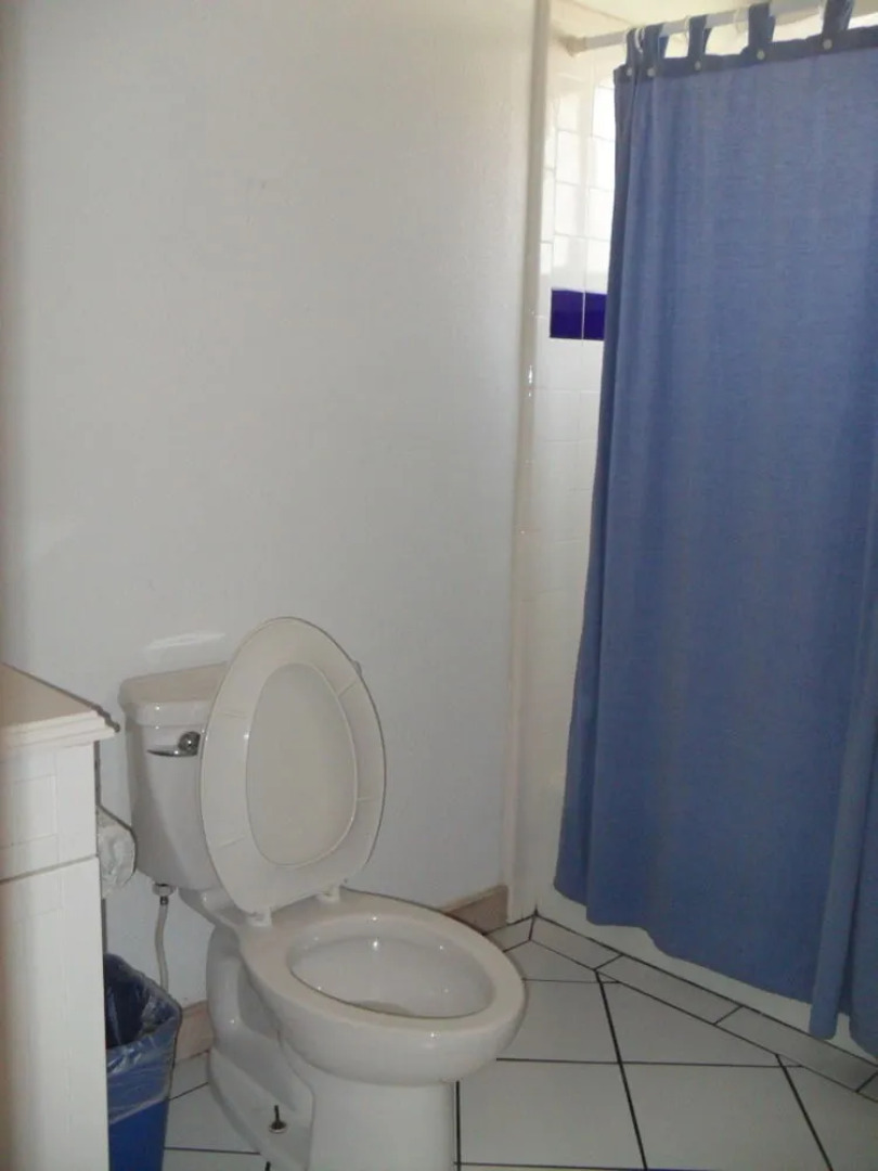 Beach Front Condos by Island Services