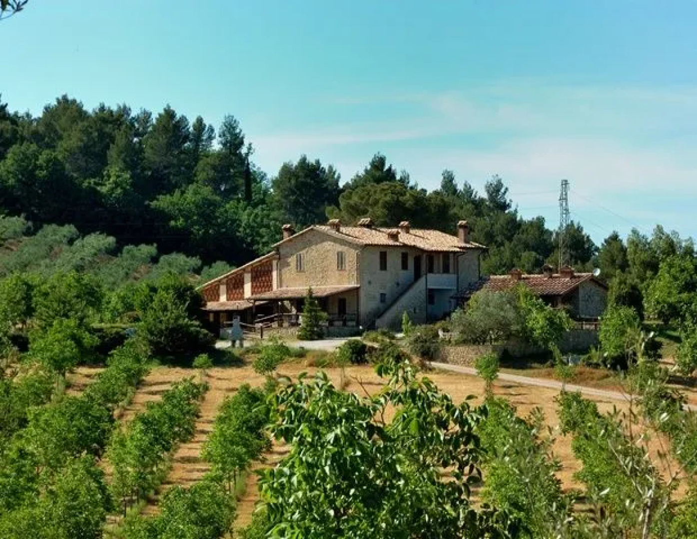 Agriturismo Belsito Pian Di Boccio