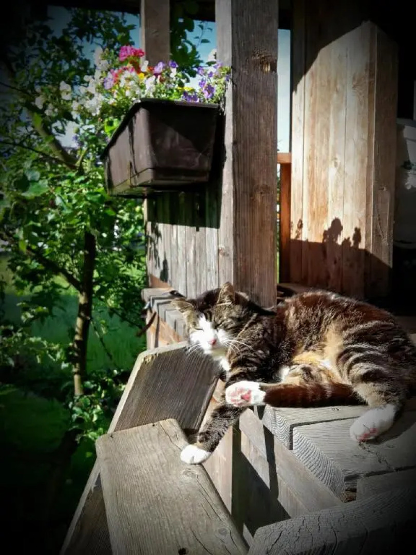 Ferienwohnung Polzer