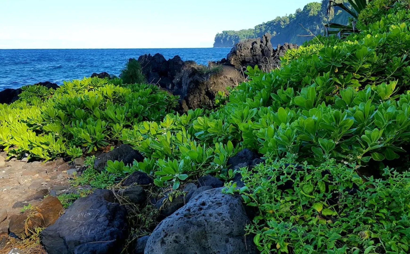 Hamakua Pukana La Hale 3 Bedroom Home by RedAwning