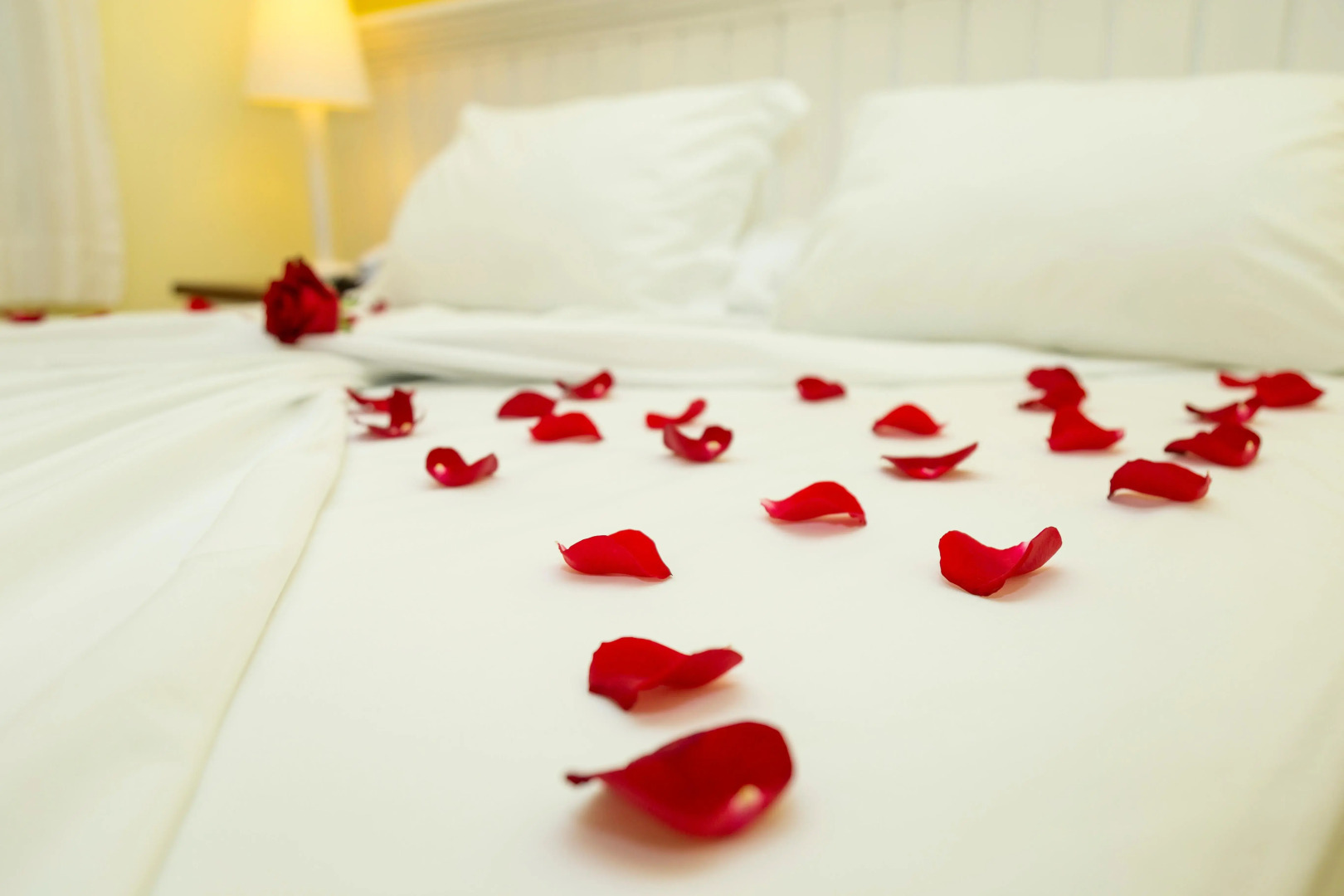 Pousada Vila do Bosque