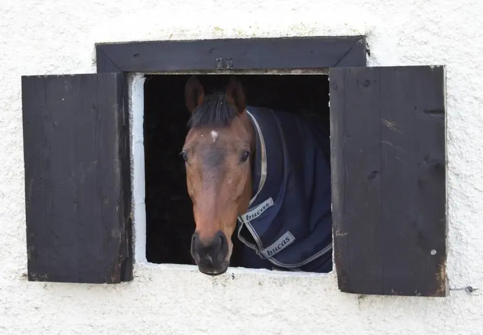 Simmy Taggart Islands