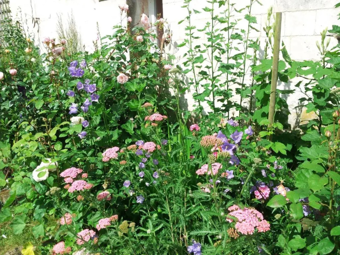 B&B au petit tambour dAutingues