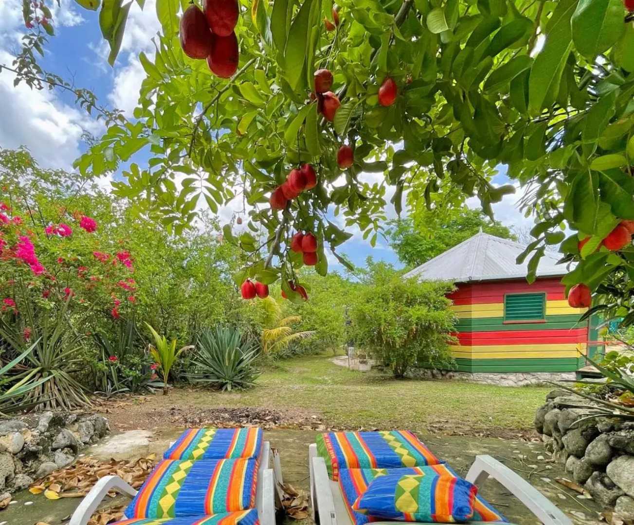 Judy House Backpacker Hostel