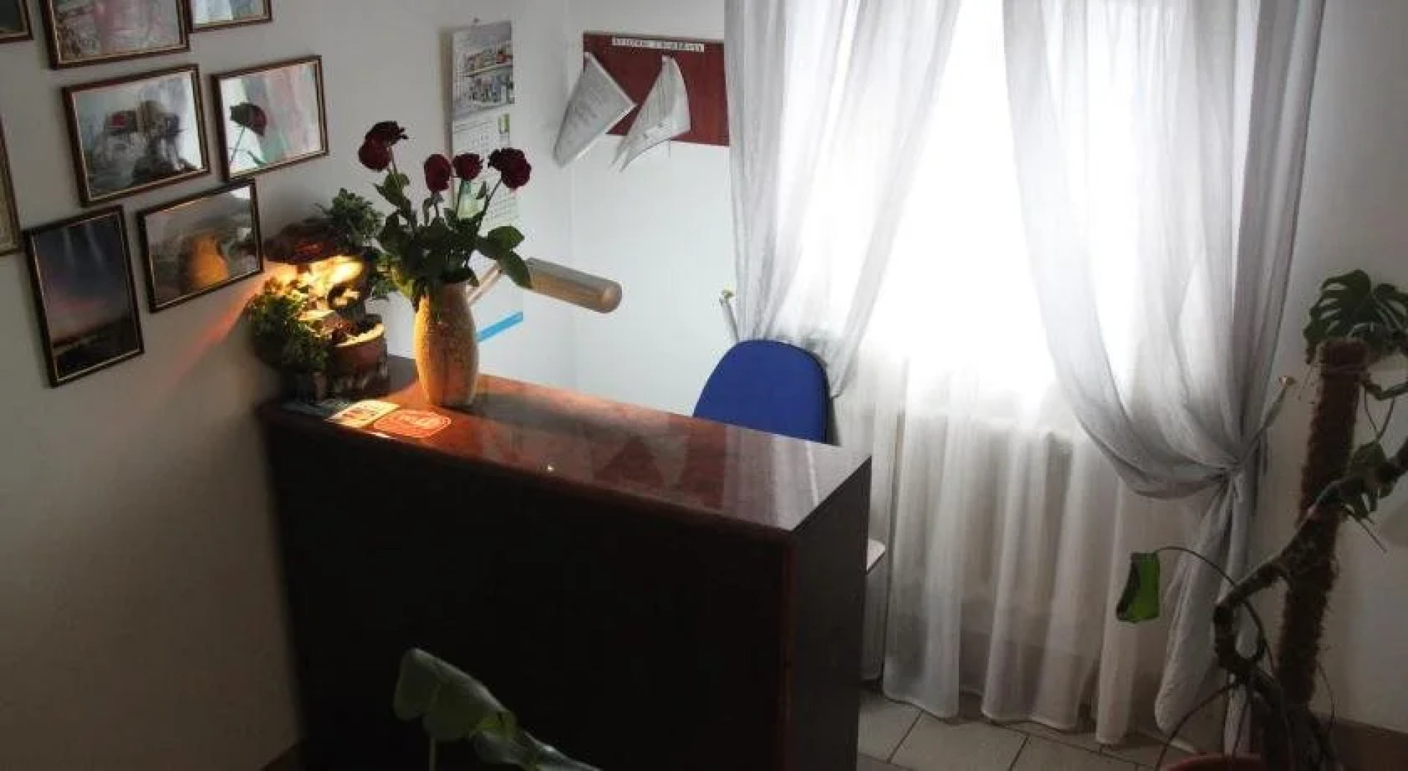 Отель Александрия Прилуки