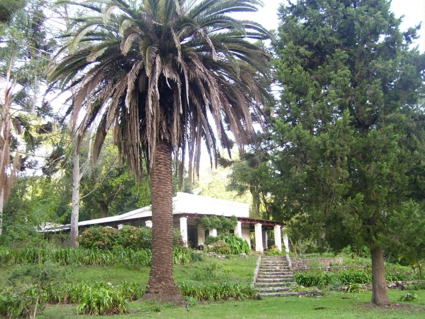 Finca La Colorada