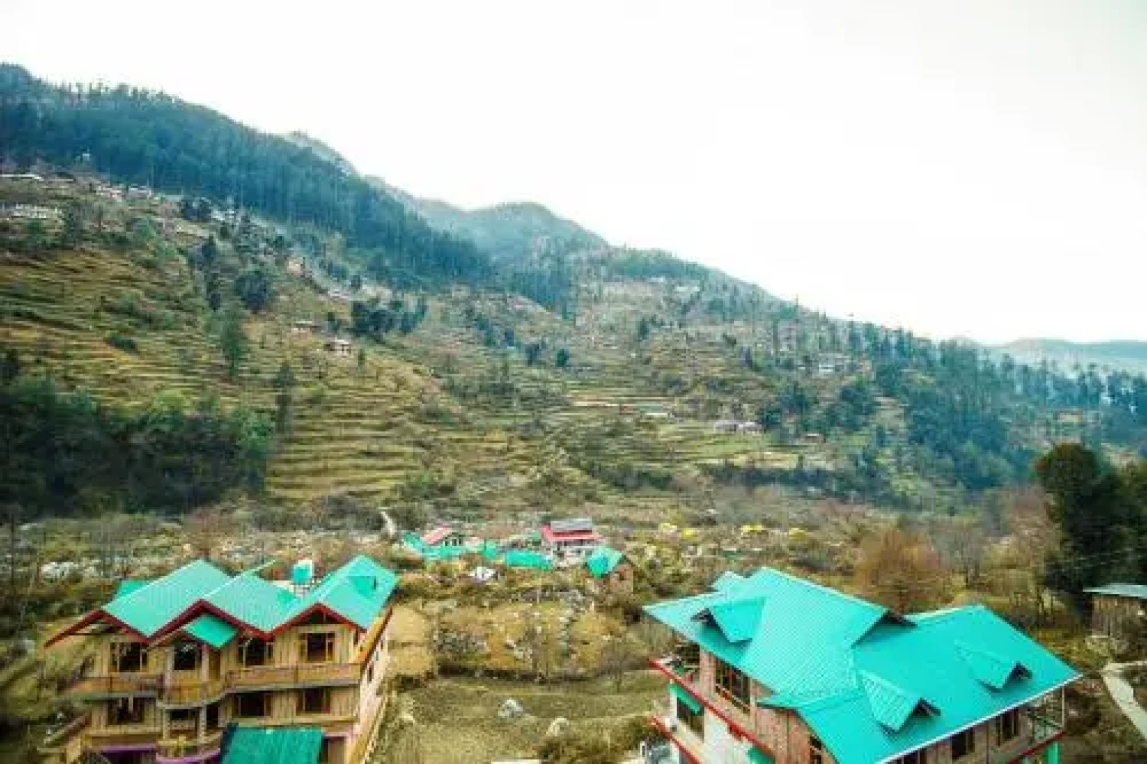 OYO 27666 Hotel Cedar View