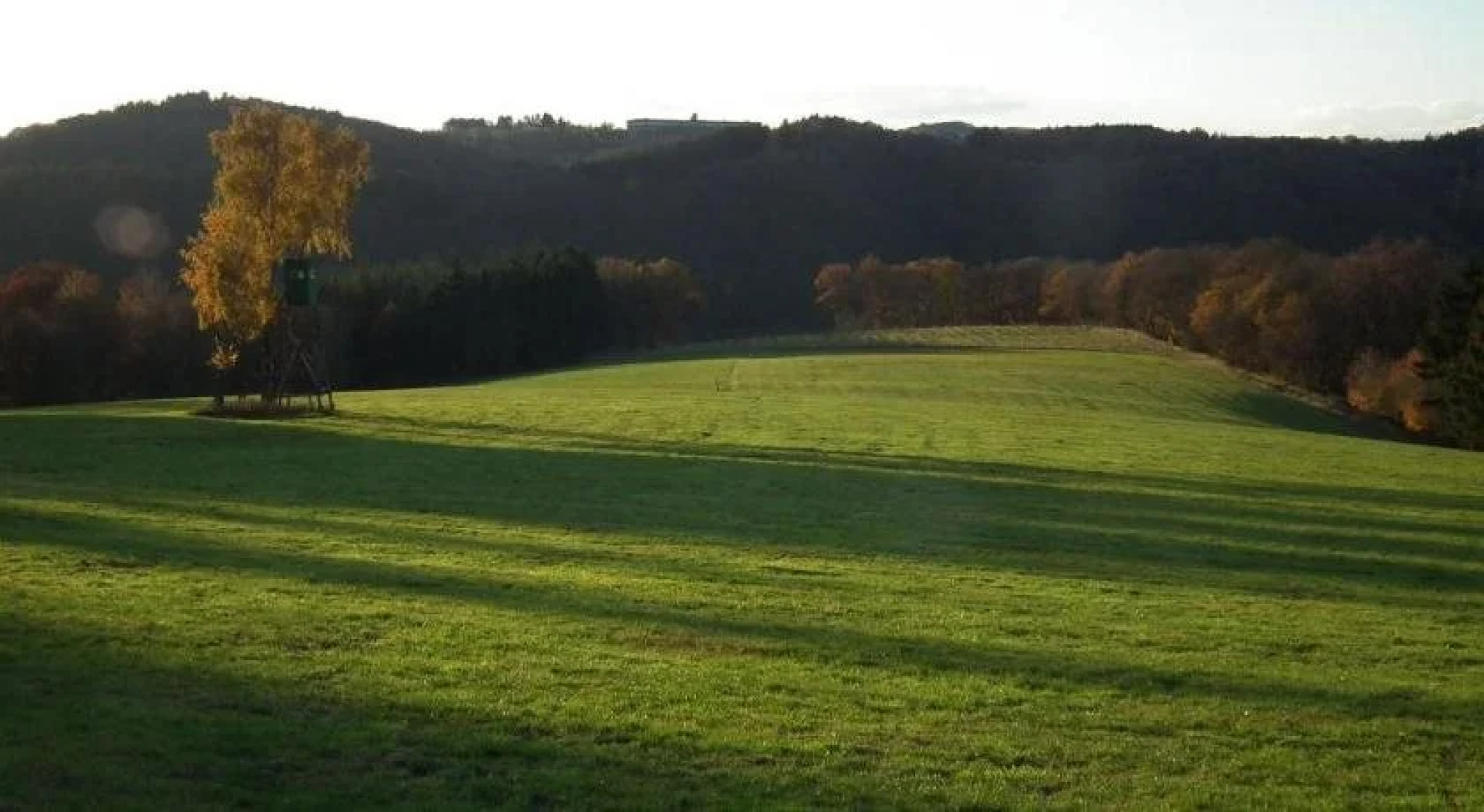 Hotel Westerwälder Hof