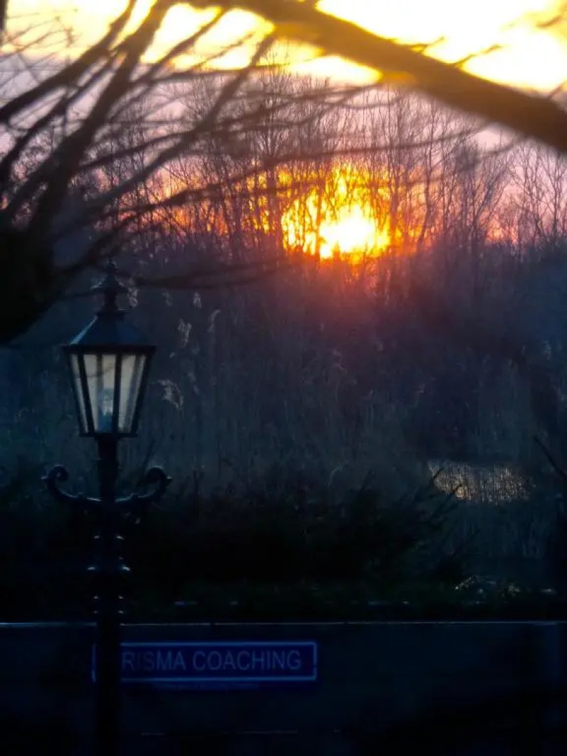Studio Lakeside Spiegelplas