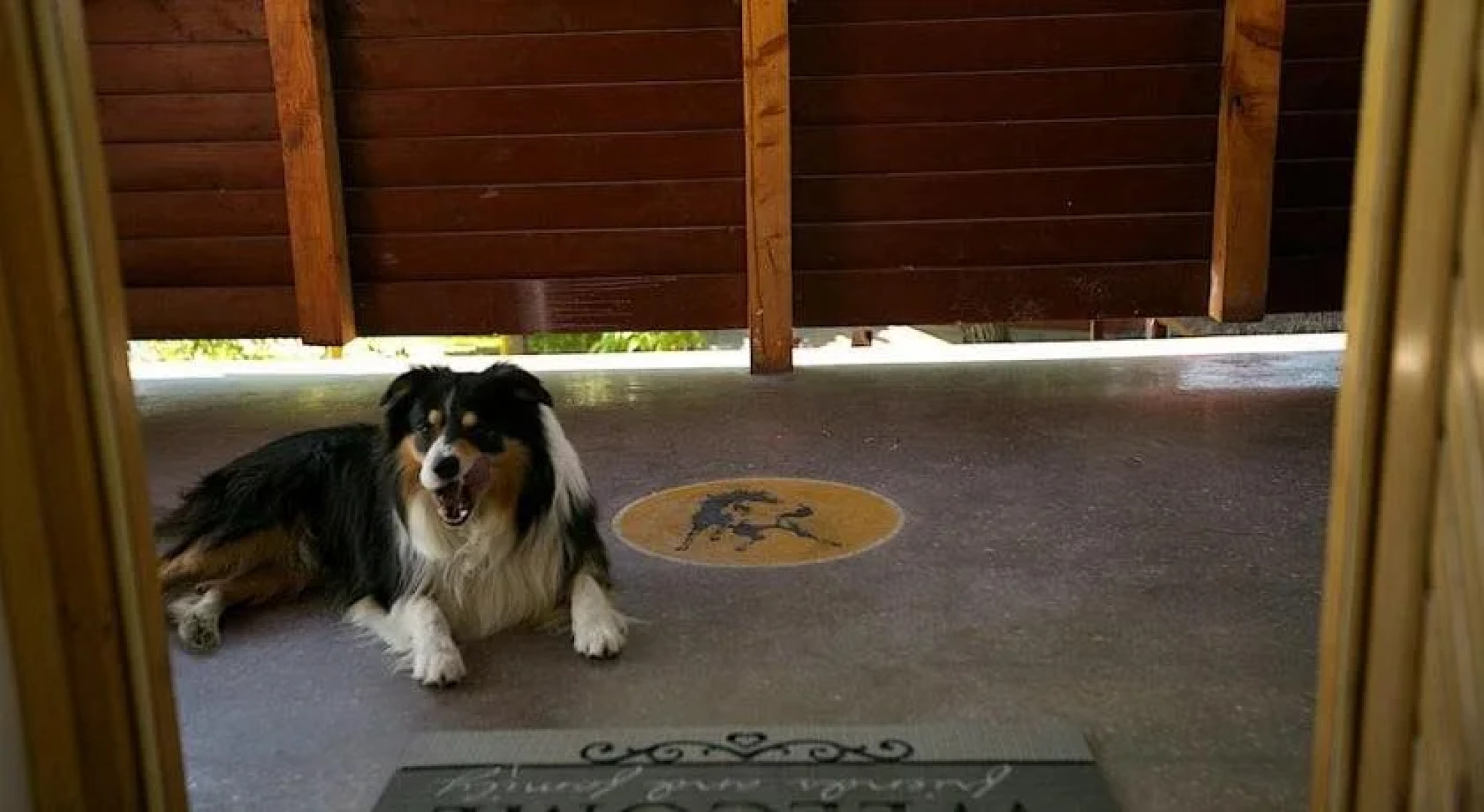 El Bronco Working Ranch