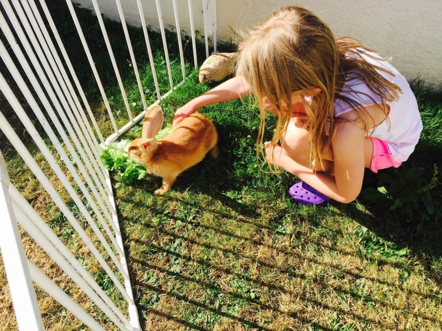 Child Friendly Gites Charente Maritime