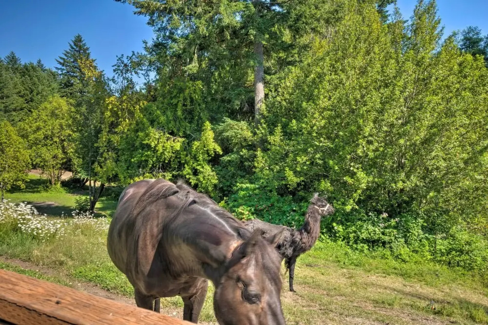 Quaint Riverside Reprieve w/ Kayaks + Floats!