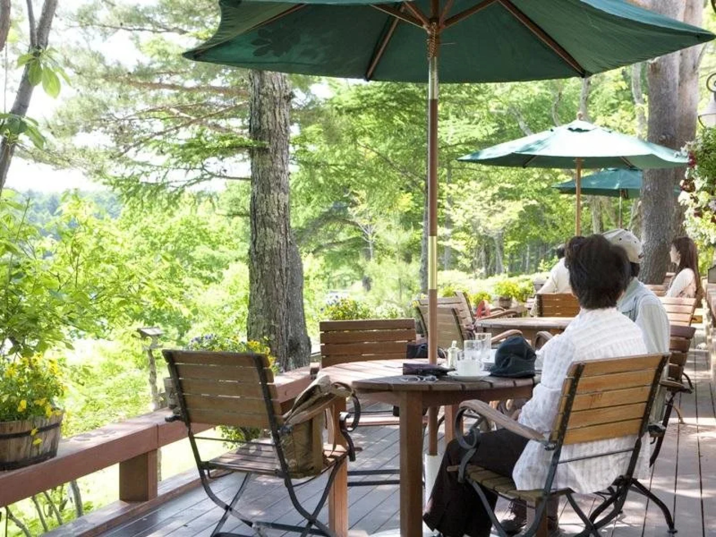 Tateshina Wanwan Paradise Cottage