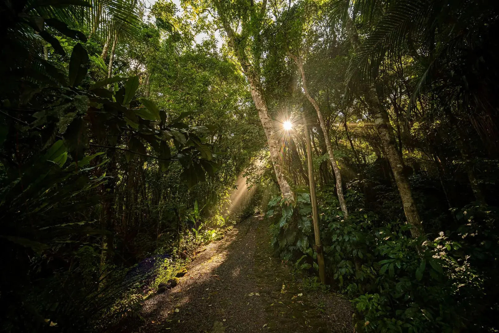 Pousada Ronco do Bugio