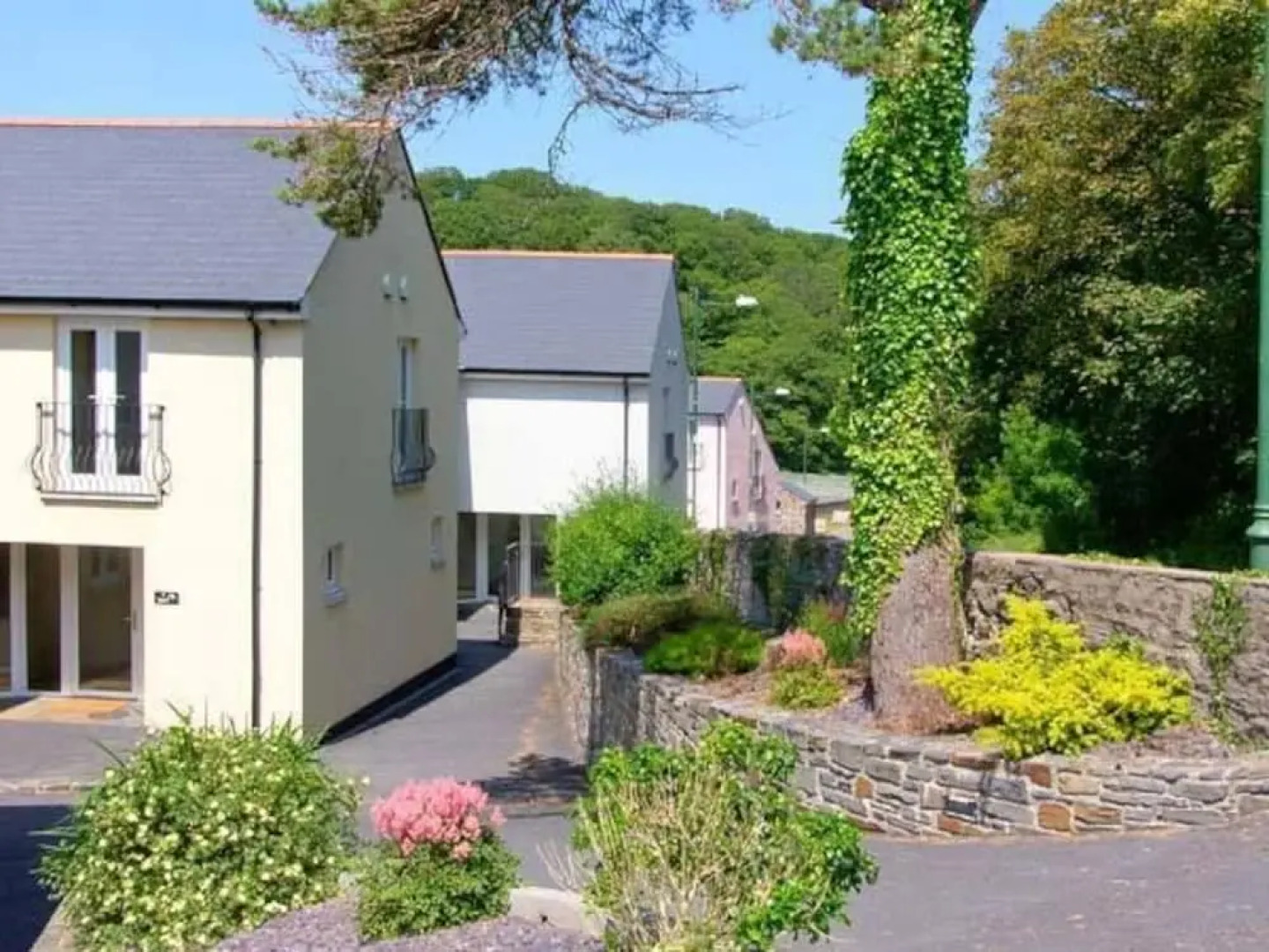 Heron, Milford Haven