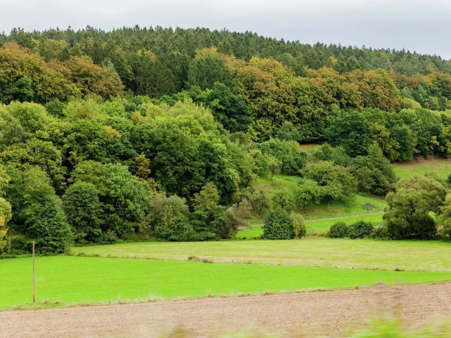 Luxurious Holiday Home in Hulsa Near Forest