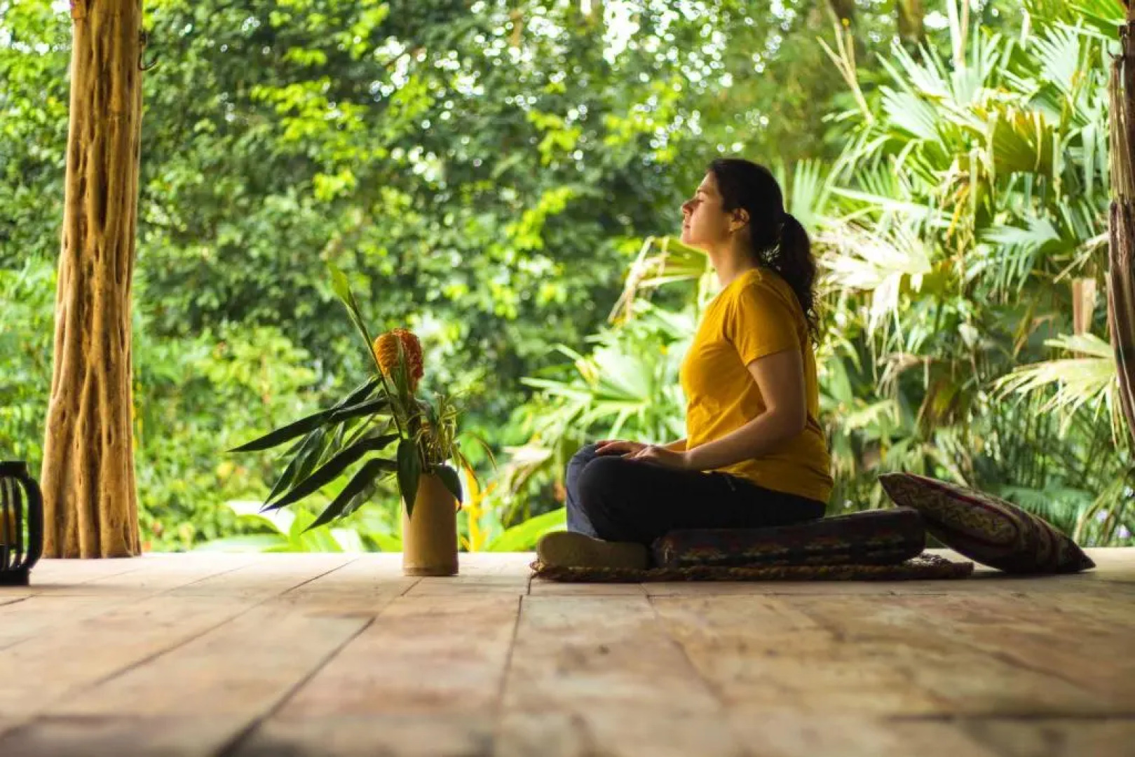 Socia/tel Amazon Tena