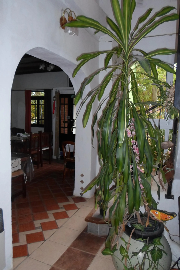 La Casona de Susana