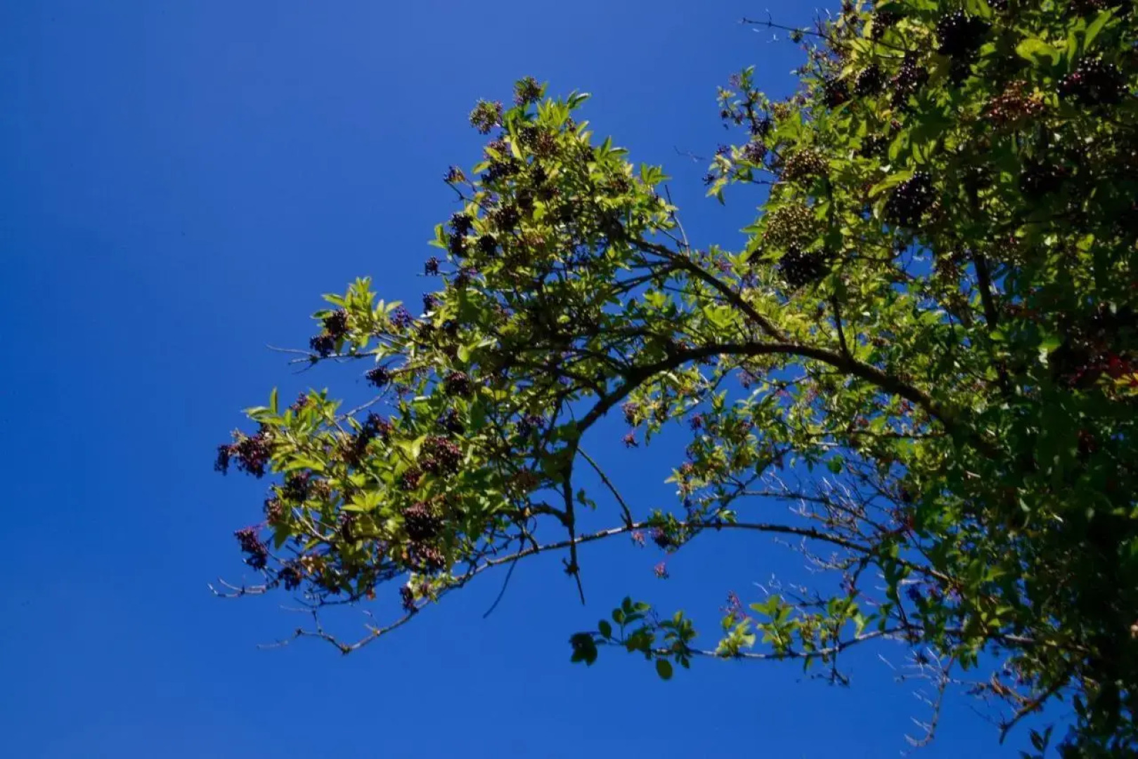 Sommer 81 - bed & breakfast