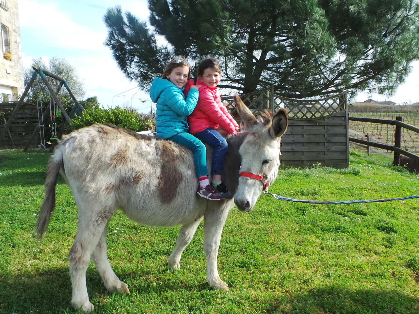Renovated Dovecot With Pool, in the Vineyards Near Bordeaux