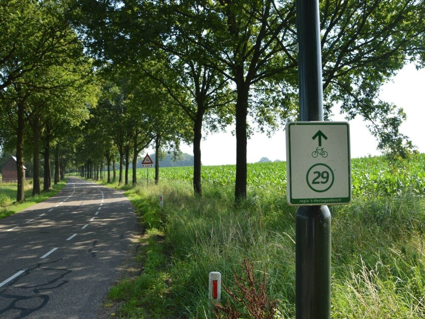 Family Home w/ Trampoline