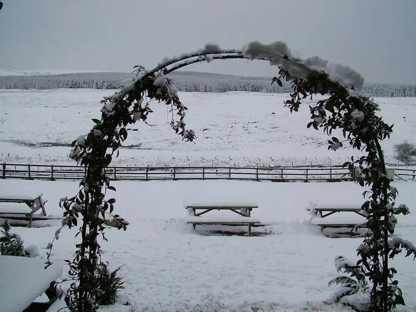 Carronbridge Guest House