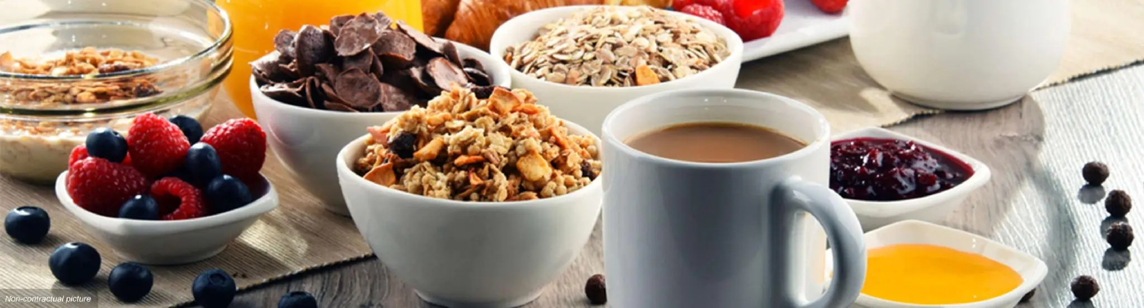 voco Strasbourg Centre The Garden by IHG