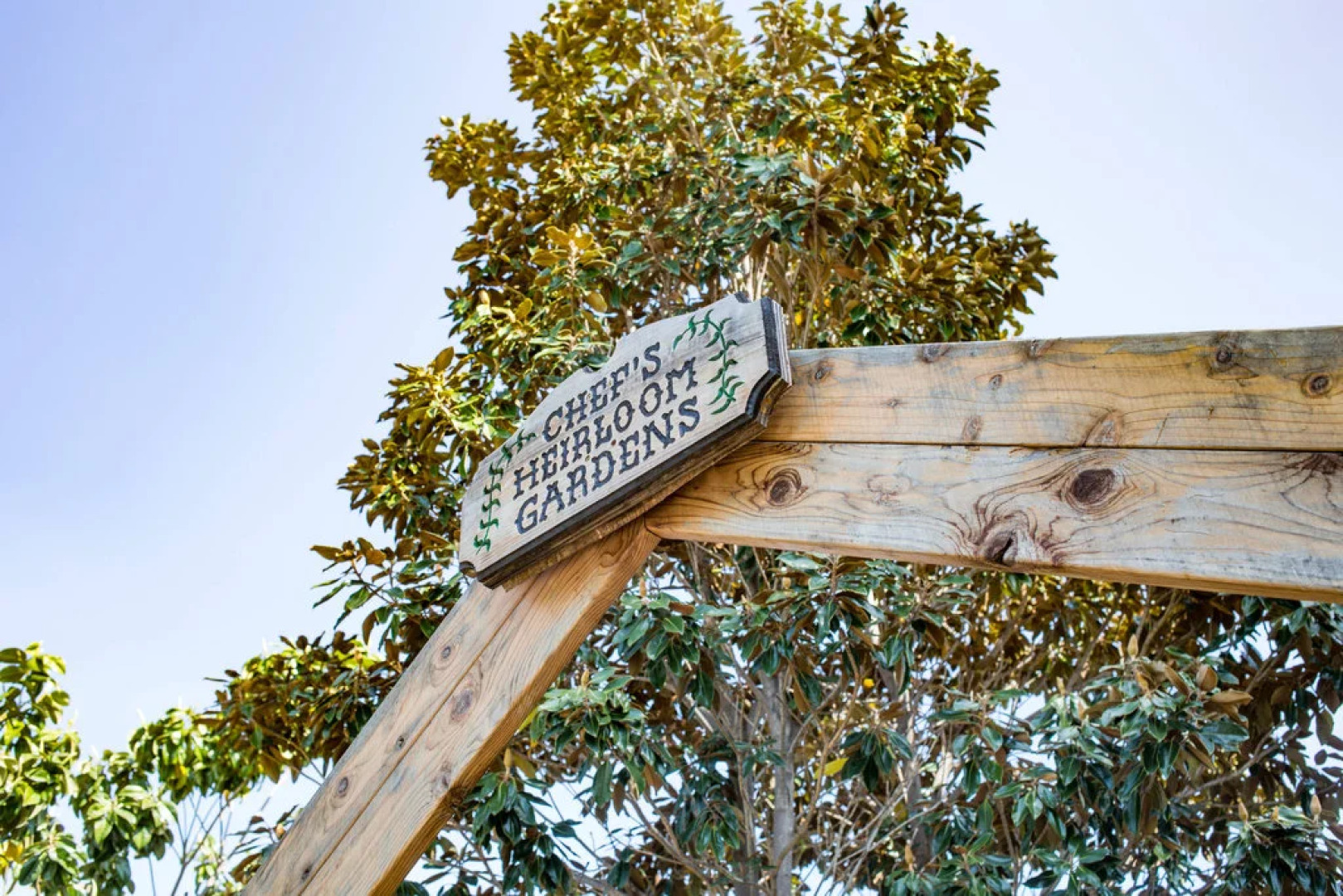 Napa Valley Marriott Hotel & Spa