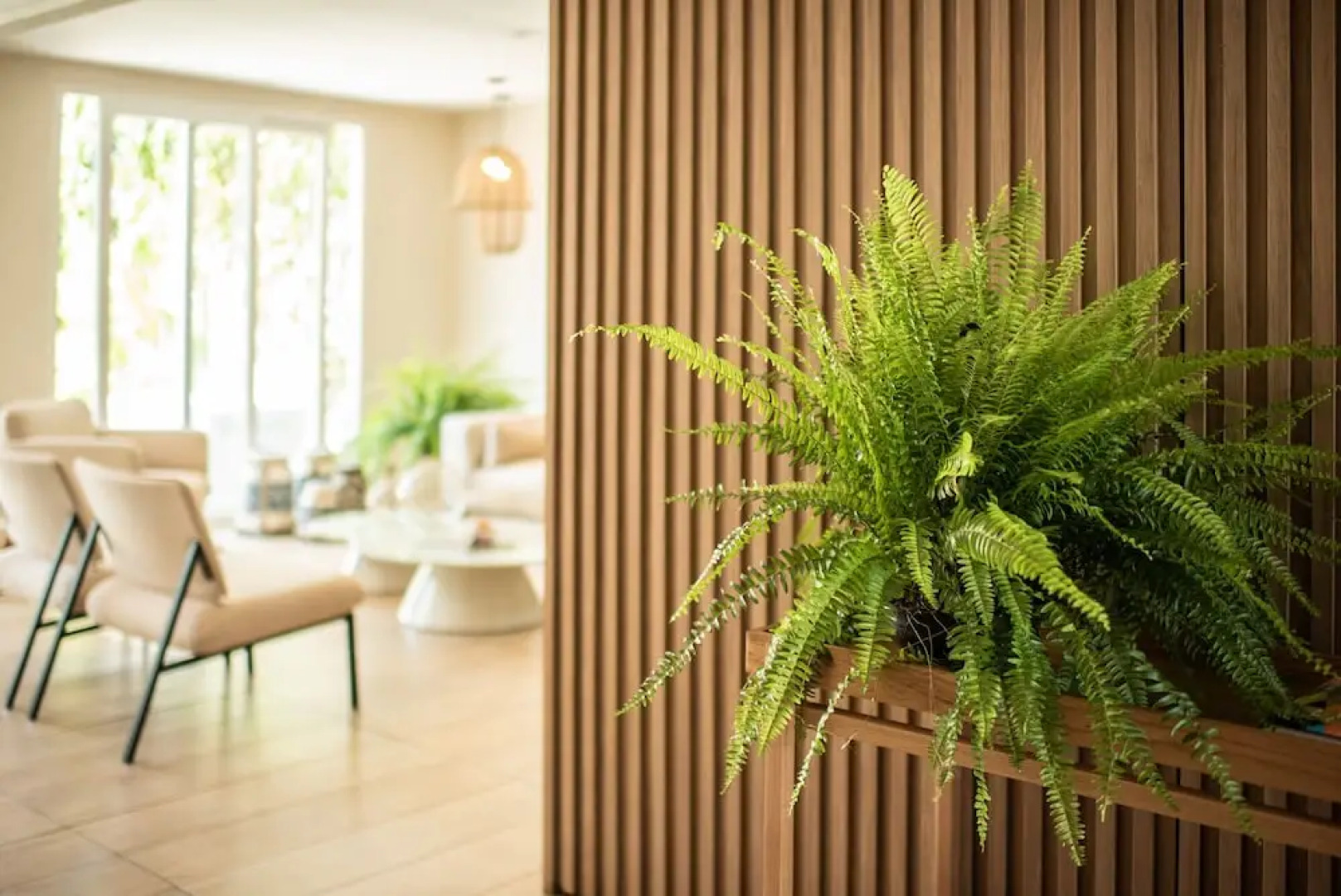 Pousada Paraiso do Atlantico