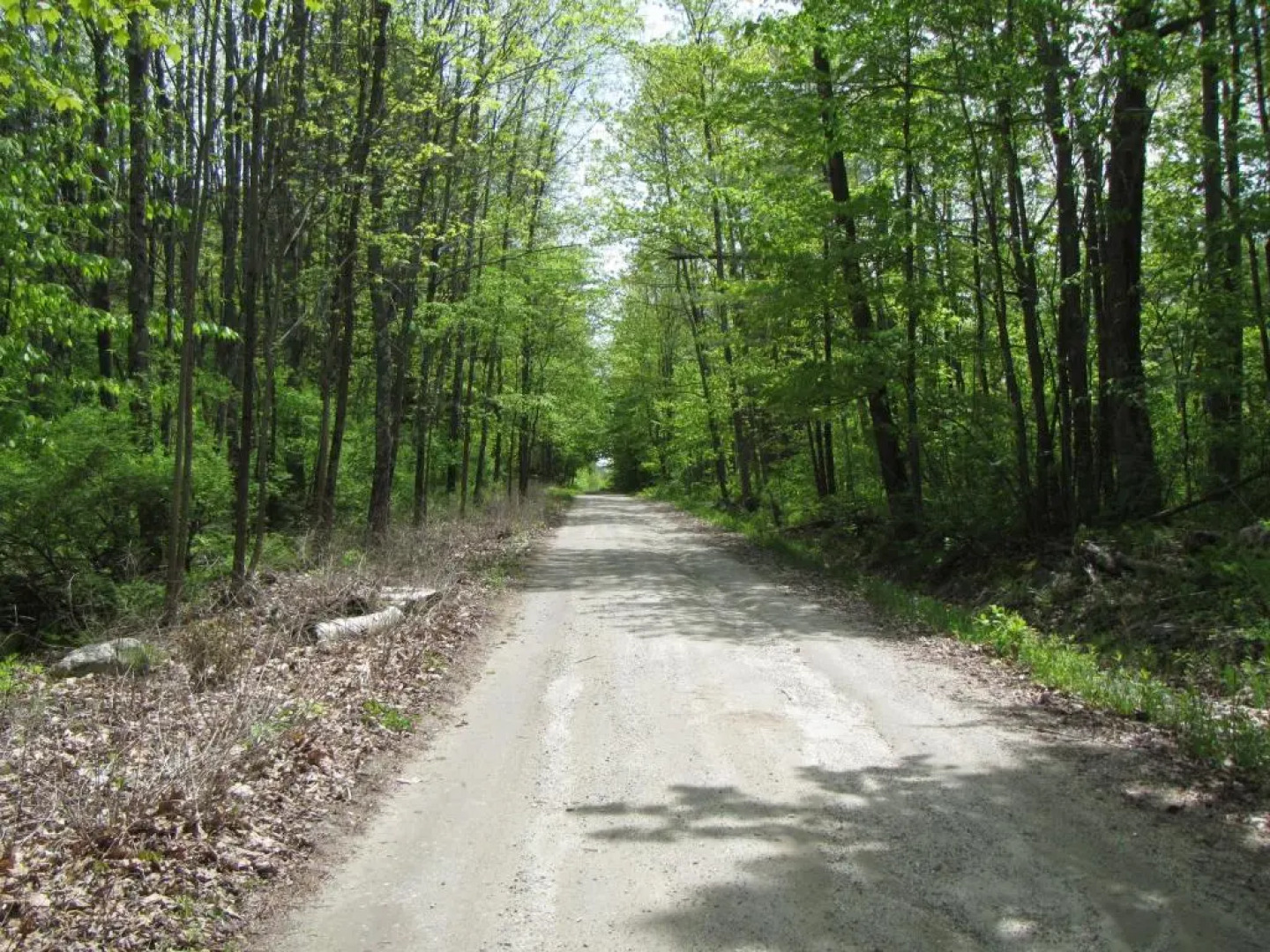 The Poland Spring Resort