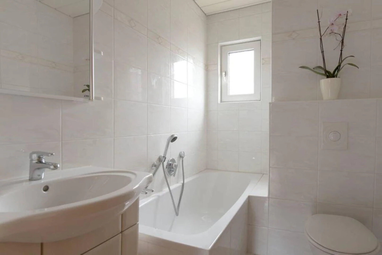 Schaefer Apartments GmbH