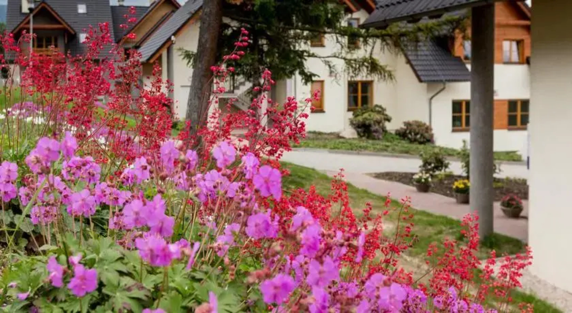 Rodzinny Apartament pod Śnieżką
