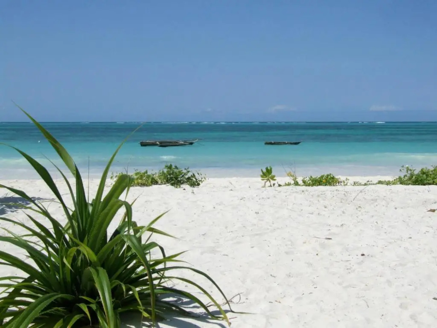 Next Paradise Boutique Resort