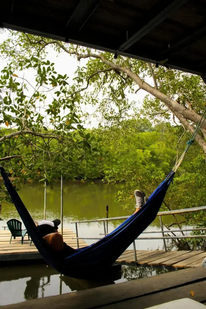 Show Pony Beach Resort and Suites