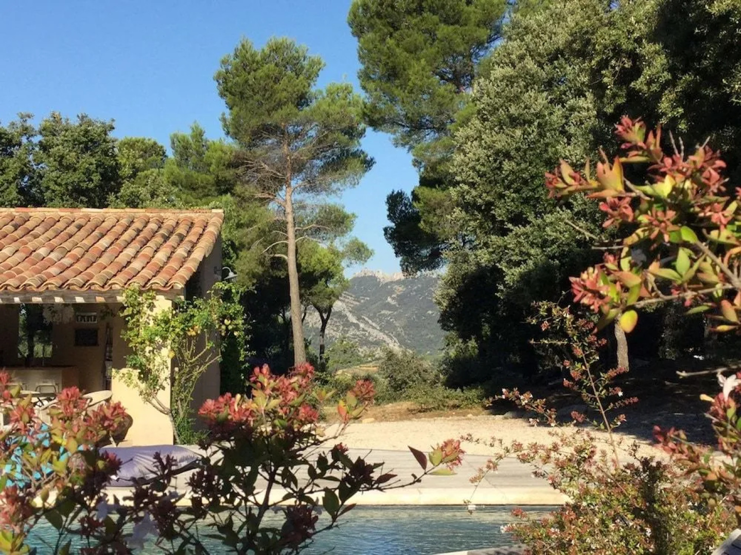 B&B L'Aube Safran