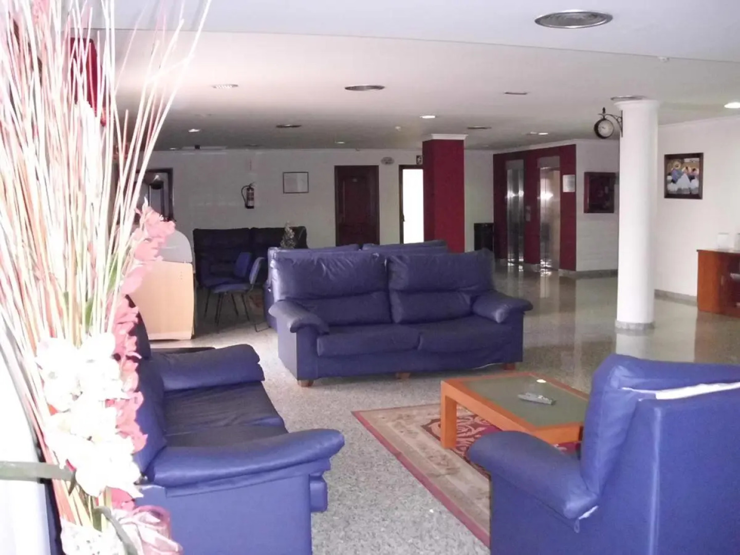 Hotel Avenida de Canarias